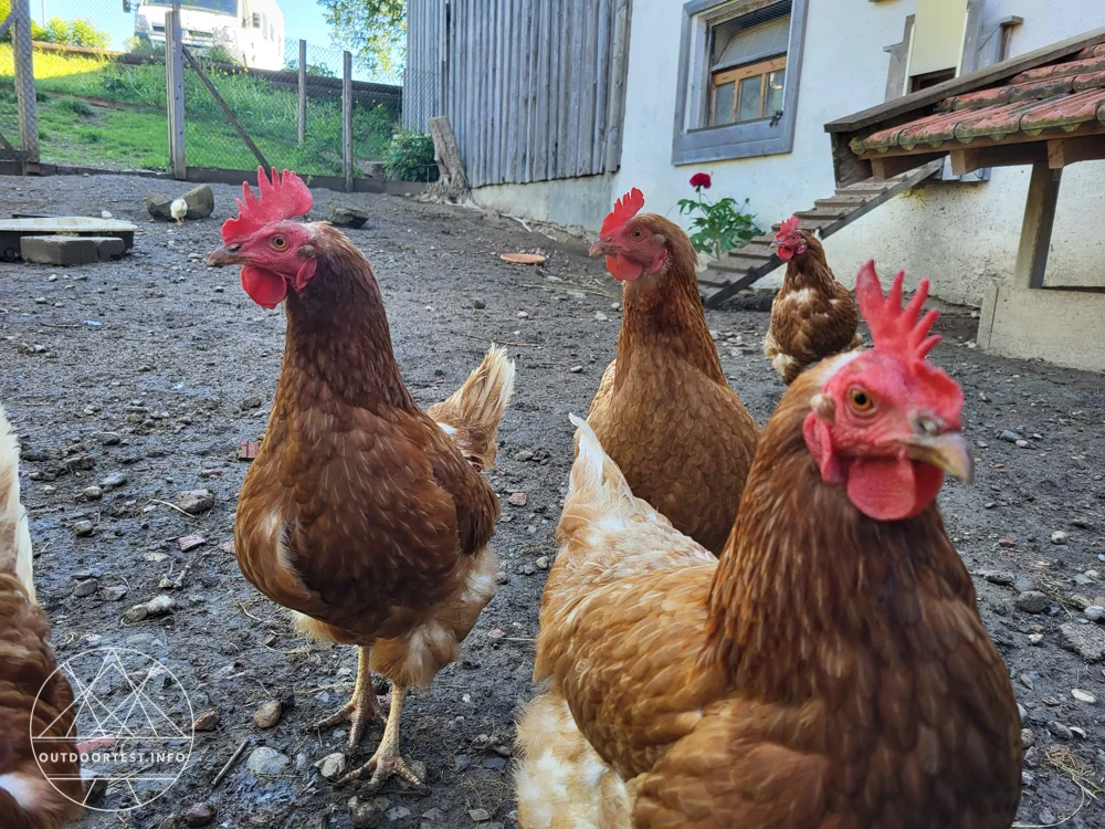 Nomady - Buchungsplattform für  naturnahe Übernachtungsmöglichkeiten