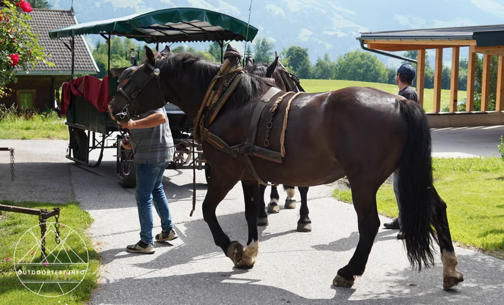 Reisebericht: Das Hopfgarten Familotel Tirol