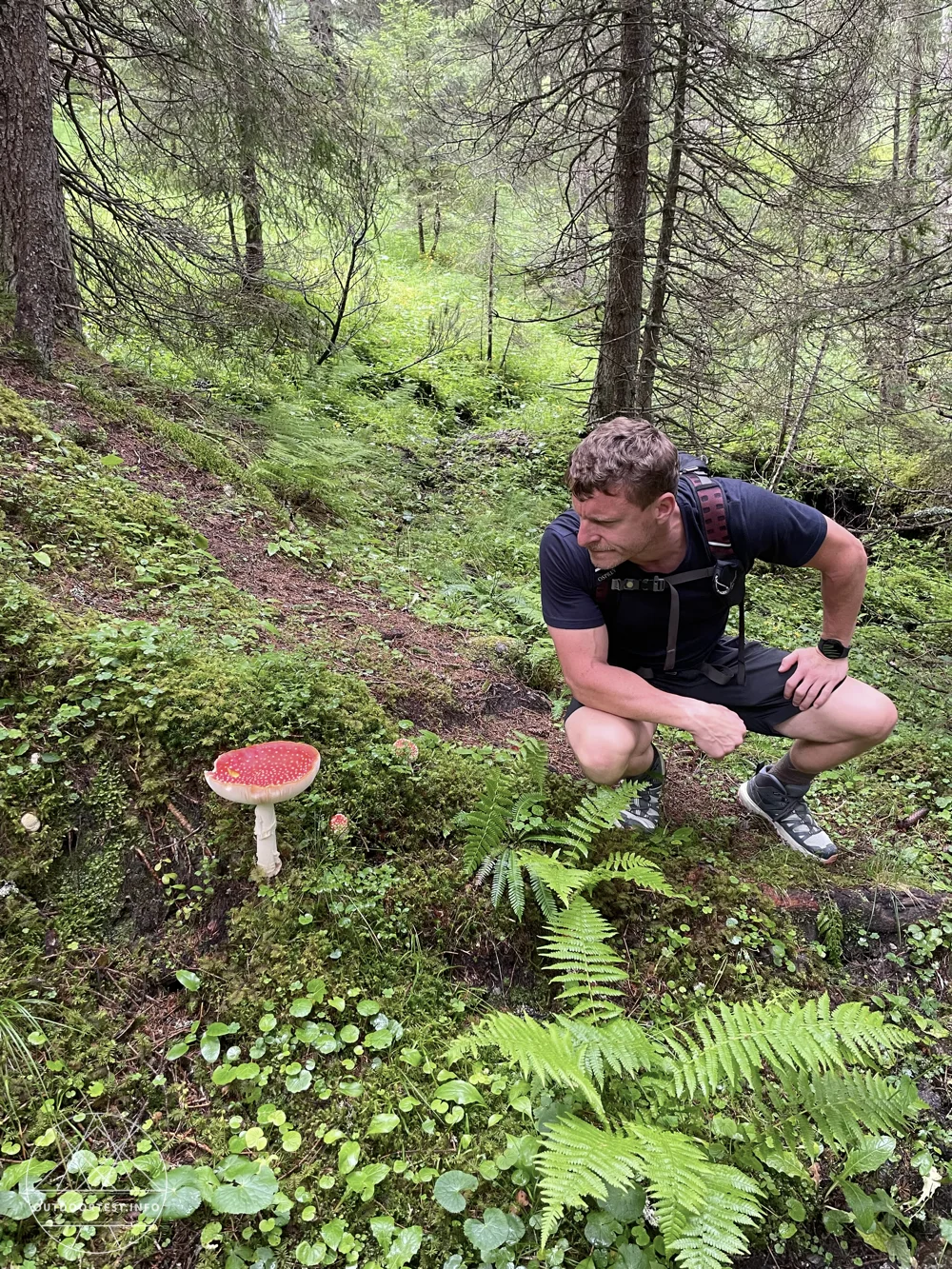 Zu Besuch im schönen Stubaital